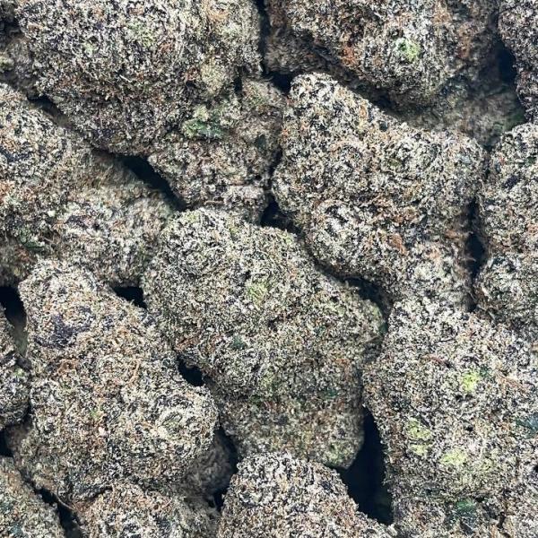 King Kong Purple