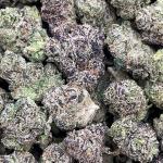 Hibiscus Sunrise Smalls