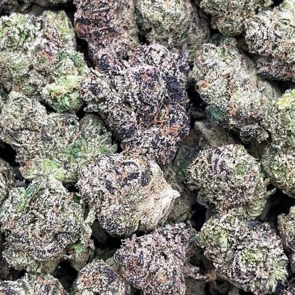 Hibiscus Sunrise Smalls