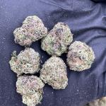 Purple Unicorn Smalls - PK658