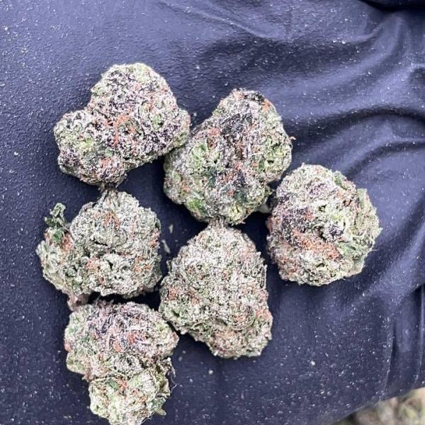 Purple Unicorn Smalls - PK658