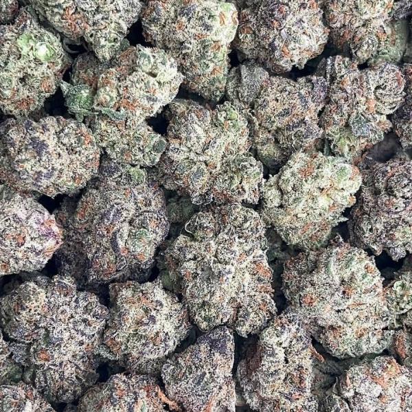 Gelato Punch Smalls - PK653