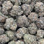 Gazzurple Smalls - PK676