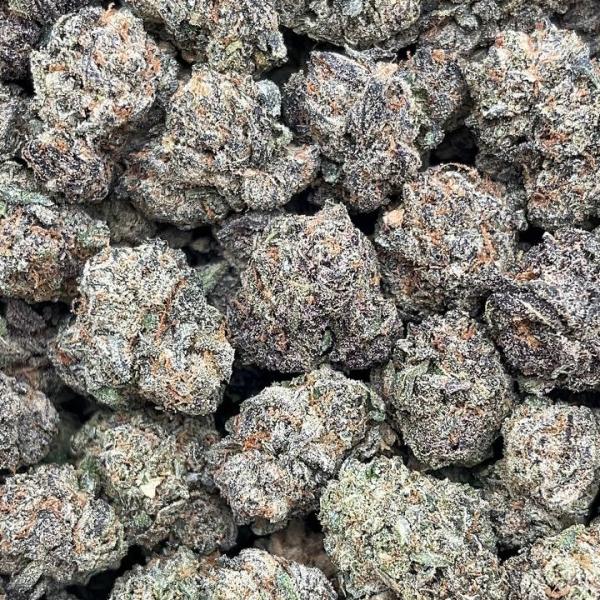 Gazzurple Smalls - PK676