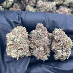 White Truffle - PK655