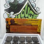 CBX: Highactus Infused Gummy