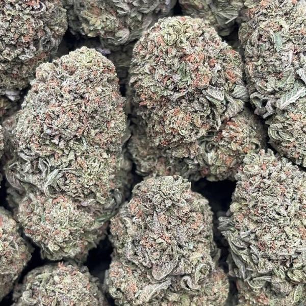 Platinum Jelly - PK606