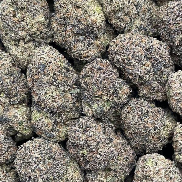 Purple Candy Jack - PK670