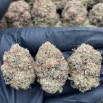 Platinum King - PK609