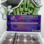 CBX: Highactus Infused Gummy