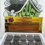 CBX: Highactus Infused Gummy