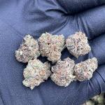 Butterscotch Smalls - PK696