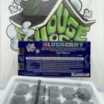 CBX: Highactus Infused Gummy