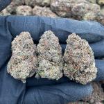 Lemon Cherry Gelato - PK691