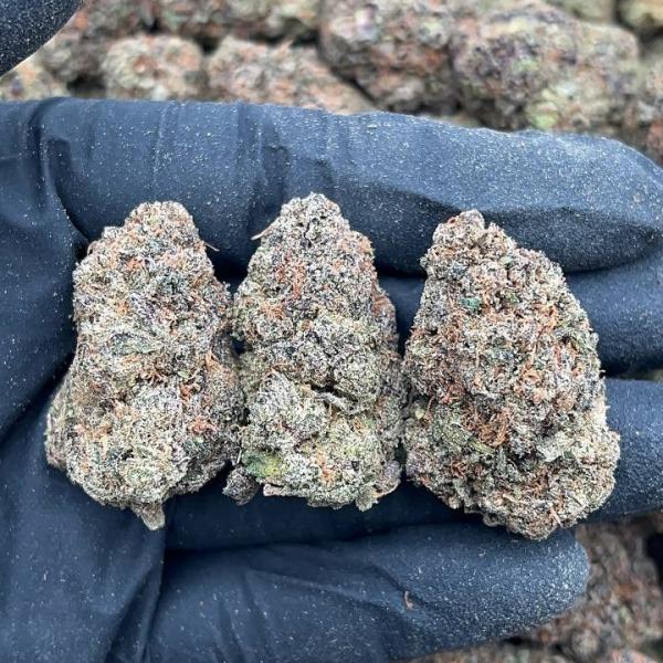 Lemon Cherry Gelato - PK691