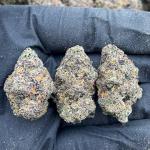 Lemon Cherry Fritter - PK688