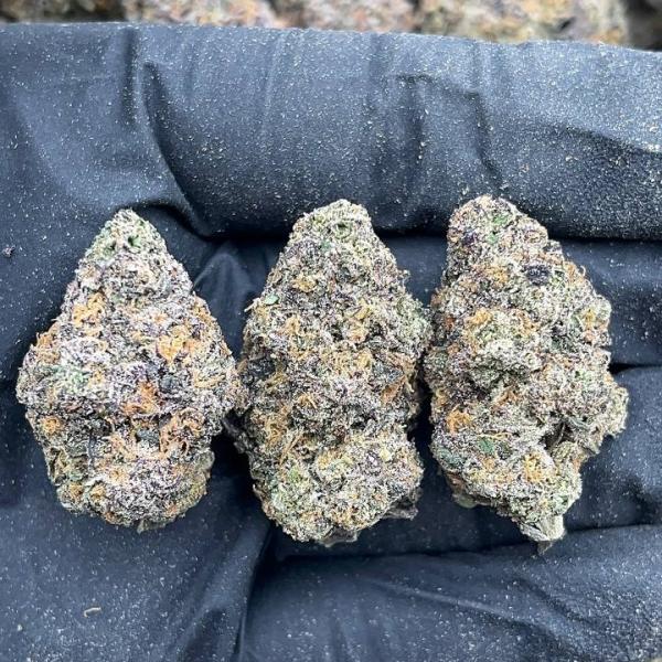 Lemon Cherry Fritter - PK688