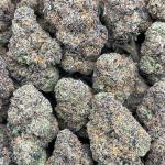 Lemon Cherry Fritter - PK688