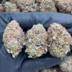 Platinum Bubba - PK718