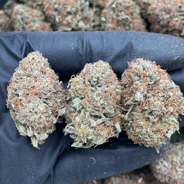 Platinum Bubba - PK718