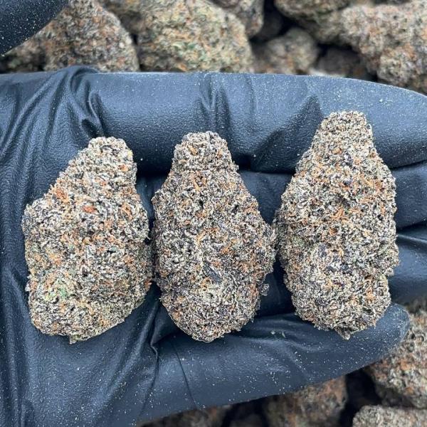 Purple Runtz - PK710