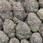 Durban Margy - PK720