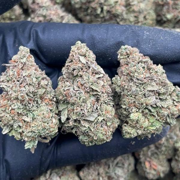 Ice Cream Cake - PK641