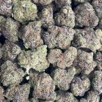 Cream Spritz Smalls - PK652