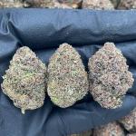 Durban Margy - PK720