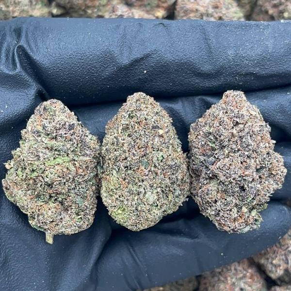 Durban Margy - PK720