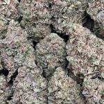 Ice Cream Cake - PK641