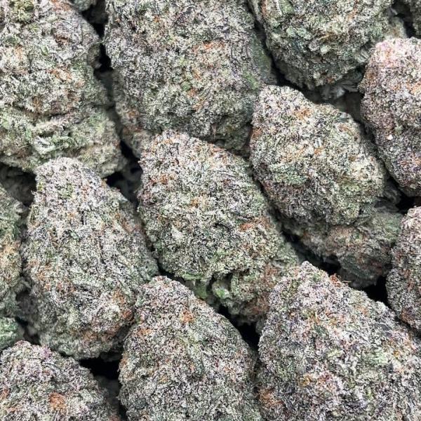 Miracle Cookies - PK618