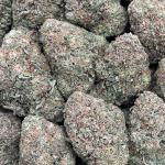 Flamingo Cookies - PK701