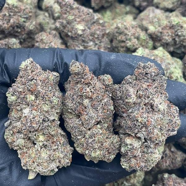 Sunset black ice - PK654