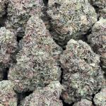 707 Truthband - PK632