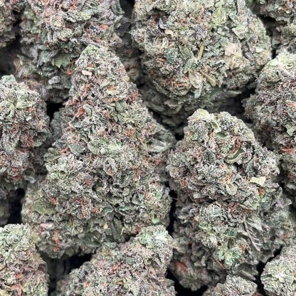 707 Truthband - PK632