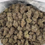 Candy Cones (North California)