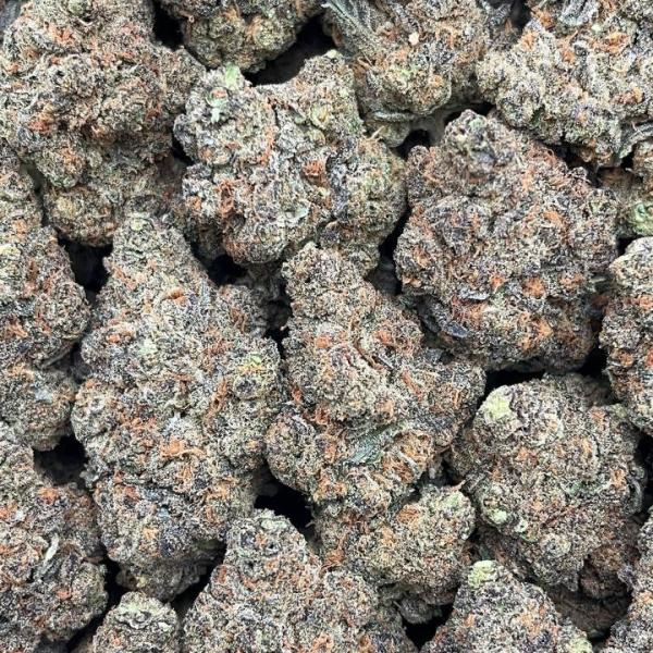 Blue Cookies - PK656