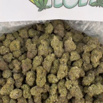 Permanent Vacation (North California)