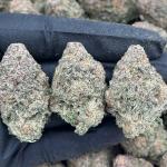 Miracle Cookies - PK618