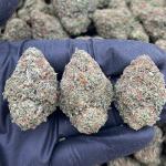 Flamingo Cookies - PK701