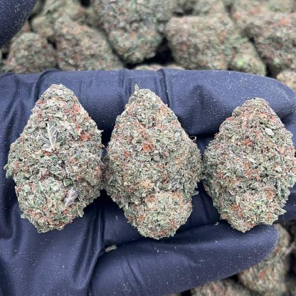 Flamingo Cookies - PK701