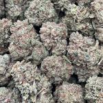 Watermelon Ice - PK667