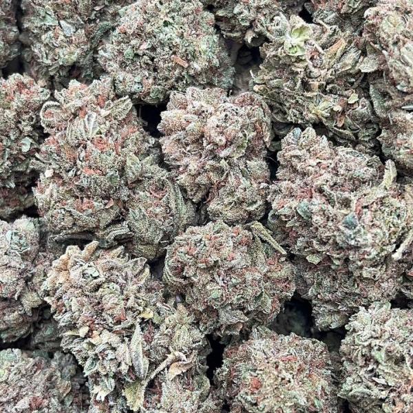 Watermelon Ice - PK667