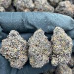 Cherry Vortex - PK665