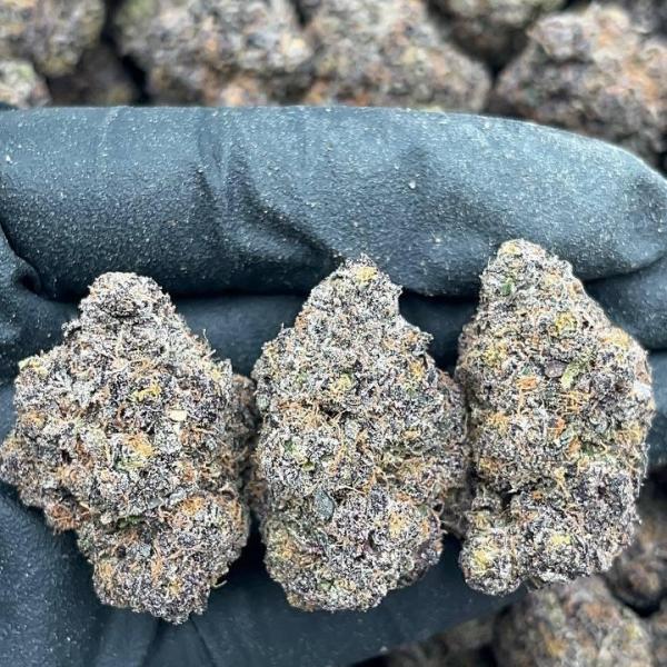 Cherry Vortex - PK665