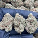 Cereal Runtz - PK669