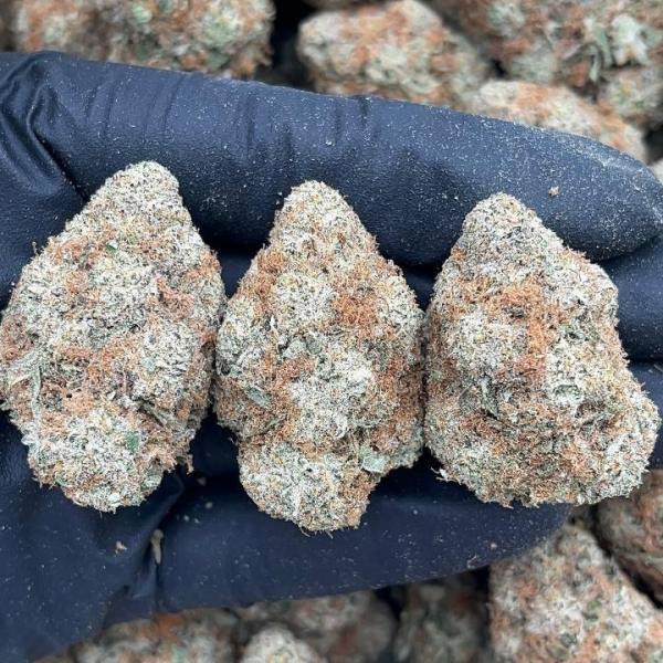 Carbon Fiber - PK671