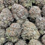 Platinum Blue Dream - PK707