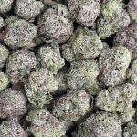 Purple Unicorn Smalls - PK658